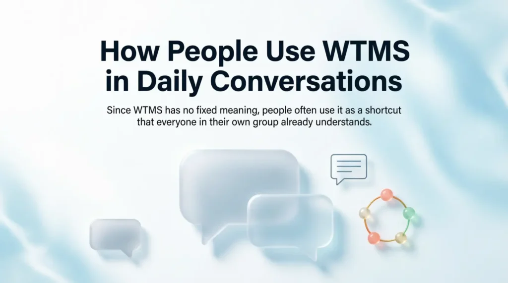 How People Use WTMS in Daily Conversations