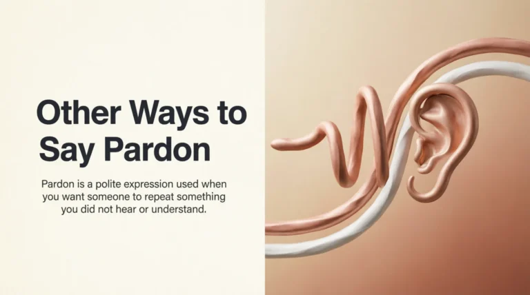 Other Ways to Say Pardon