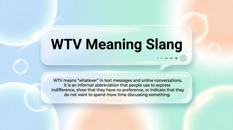 WTV Meaning Slang
